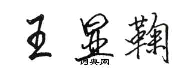 駱恆光王顯鞠行書個性簽名怎么寫