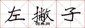 袁強左撇子楷書怎么寫