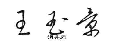 駱恆光王玉景草書個性簽名怎么寫