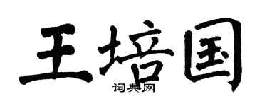 翁闓運王培國楷書個性簽名怎么寫