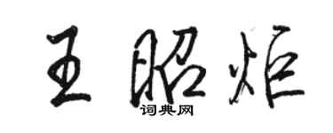 駱恆光王昭炬行書個性簽名怎么寫