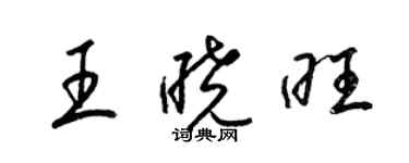 梁錦英王曉旺草書個性簽名怎么寫