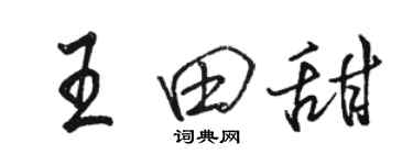駱恆光王田甜行書個性簽名怎么寫