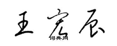 梁錦英王宏辰草書個性簽名怎么寫