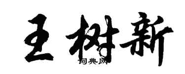 胡問遂王樹新行書個性簽名怎么寫