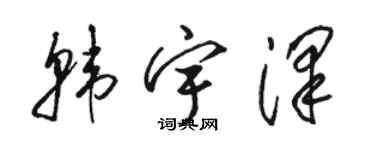 駱恆光韓宇澤草書個性簽名怎么寫