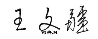 駱恆光王文疆草書個性簽名怎么寫