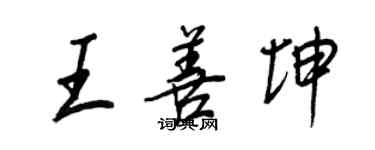 王正良王善坤行書個性簽名怎么寫