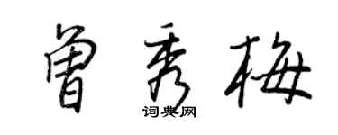 王正良曾秀梅行書個性簽名怎么寫