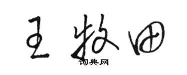 駱恆光王牧田草書個性簽名怎么寫