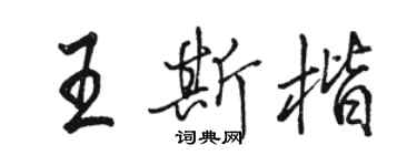 駱恆光王斯楷行書個性簽名怎么寫
