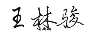 駱恆光王林駿行書個性簽名怎么寫