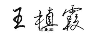 駱恆光王植霞行書個性簽名怎么寫