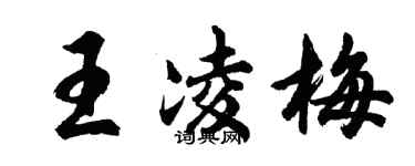 胡問遂王凌梅行書個性簽名怎么寫