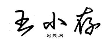 朱錫榮王小存草書個性簽名怎么寫