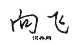 駱恆光向飛行書個性簽名怎么寫