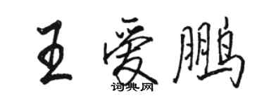 駱恆光王愛鵬行書個性簽名怎么寫