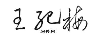 駱恆光王紀梅草書個性簽名怎么寫