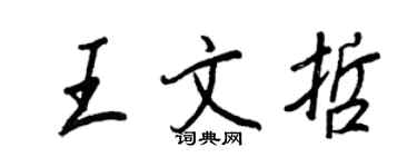 王正良王文哲行書個性簽名怎么寫