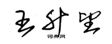 朱錫榮王升望草書個性簽名怎么寫
