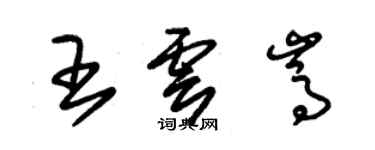 朱錫榮王雲嵩草書個性簽名怎么寫