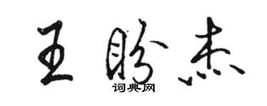 駱恆光王盼傑行書個性簽名怎么寫