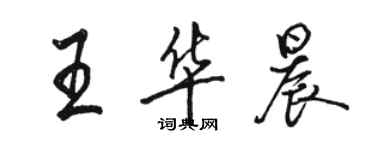 駱恆光王華晨行書個性簽名怎么寫