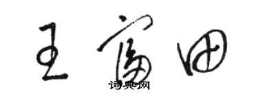 駱恆光王富田草書個性簽名怎么寫