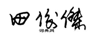 朱錫榮田俊傑草書個性簽名怎么寫