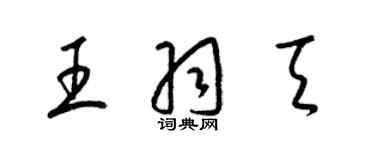 梁錦英王羽天草書個性簽名怎么寫