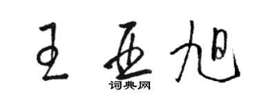 駱恆光王亞旭草書個性簽名怎么寫