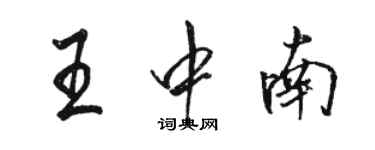 駱恆光王中南行書個性簽名怎么寫