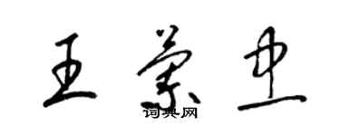 梁錦英王蘭忠草書個性簽名怎么寫