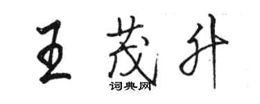 駱恆光王茂升行書個性簽名怎么寫