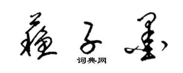 梁錦英蘇子墨草書個性簽名怎么寫