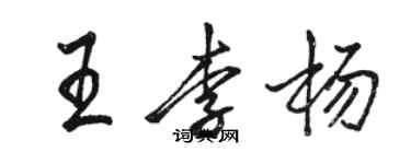 駱恆光王李楊行書個性簽名怎么寫