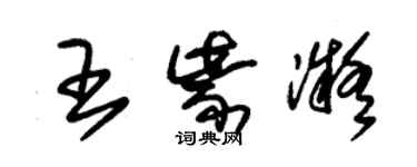 朱錫榮王紫凝草書個性簽名怎么寫