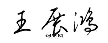 梁錦英王展鴻草書個性簽名怎么寫