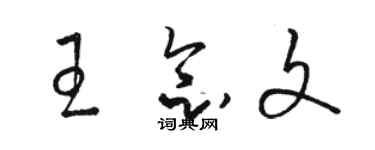 駱恆光王念文草書個性簽名怎么寫