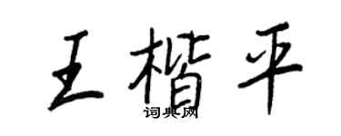王正良王楷平行書個性簽名怎么寫