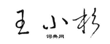 駱恆光王小杉草書個性簽名怎么寫