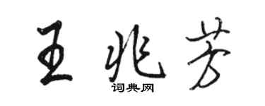 駱恆光王兆芳行書個性簽名怎么寫