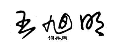 朱錫榮王旭明草書個性簽名怎么寫