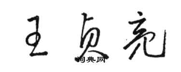 駱恆光王貞亮草書個性簽名怎么寫