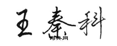 駱恆光王秦科行書個性簽名怎么寫