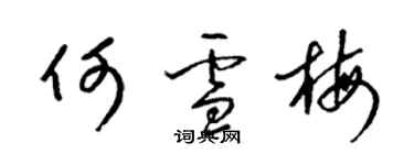 梁錦英何雪梅草書個性簽名怎么寫