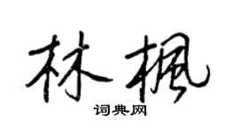 王正良林楓行書個性簽名怎么寫