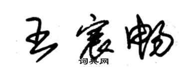 朱錫榮王宸暢草書個性簽名怎么寫