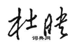 駱恆光杜映草書個性簽名怎么寫