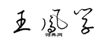 梁錦英王鳳學草書個性簽名怎么寫